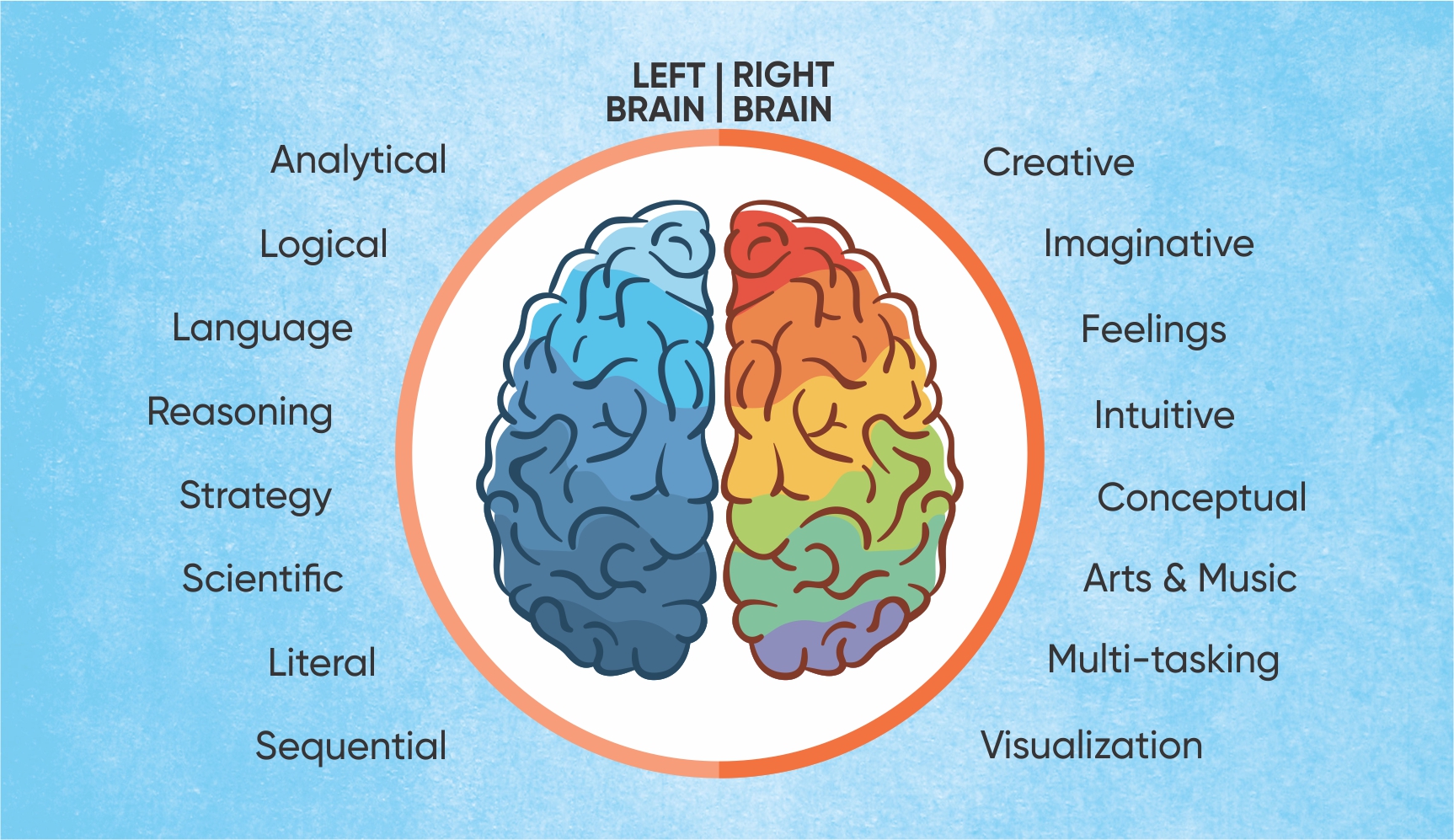 brain